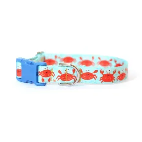 Clawsome Crab Dog Collar | Aqua